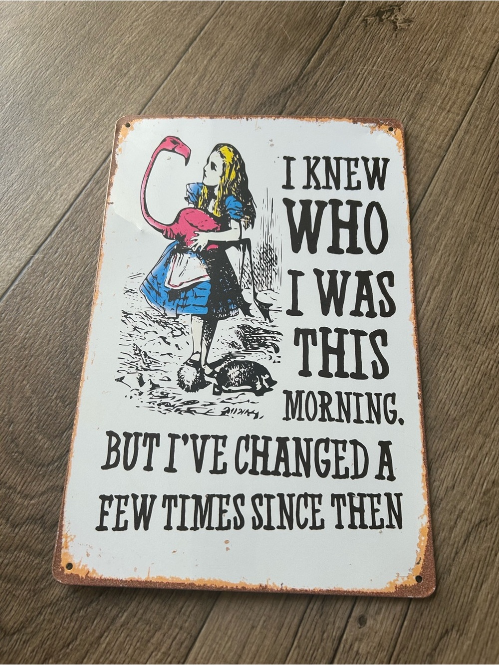 Alice in Wonderland Retro Quote Metal Sign -